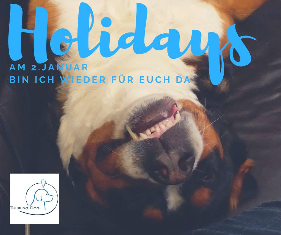 Thinking Dog macht Winterpause 2018